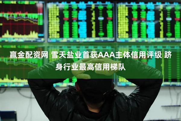 赢金配资网 雪天盐业首获AAA主体信用评级 跻身行业最高信用梯队