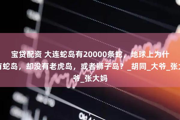 宝贷配资 大连蛇岛有20000条蛇，地球上为什么有蛇岛，却没有老虎岛，或者狮子岛？_胡同_大爷_张大妈