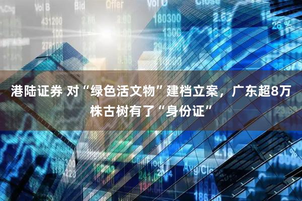 港陆证券 对“绿色活文物”建档立案，广东超8万株古树有了“身份证”