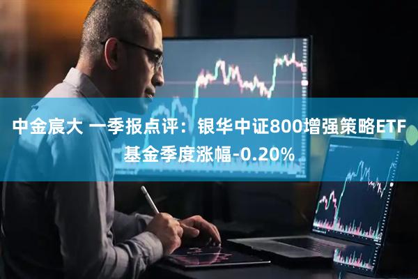 中金宸大 一季报点评：银华中证800增强策略ETF基金季度涨幅-0.20%